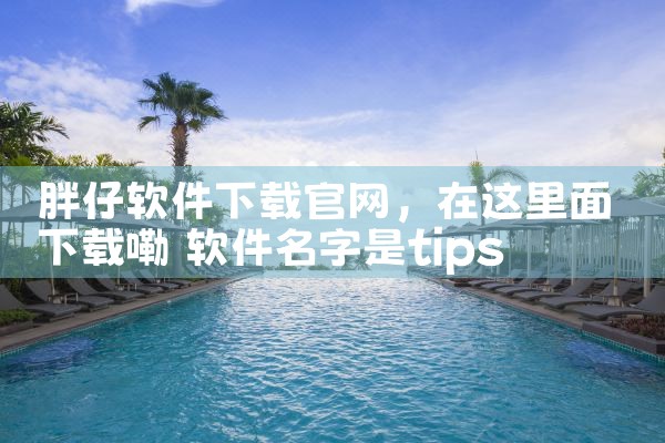 胖仔软件下载官网