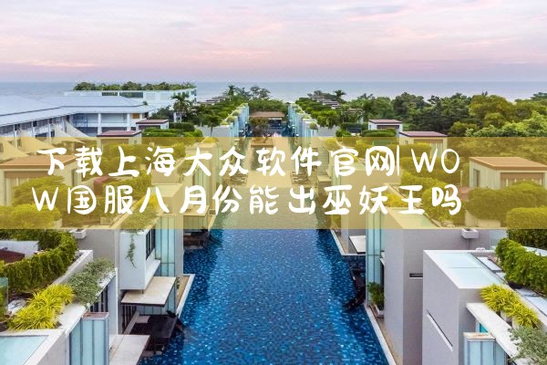 下载上海大众软件官网
