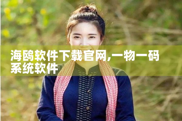 海鸥软件下载官网