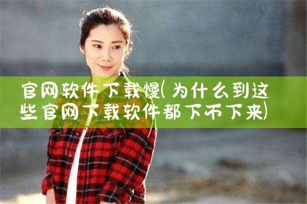 官网软件下载慢
