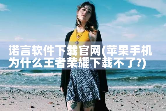 诺言软件下载官网