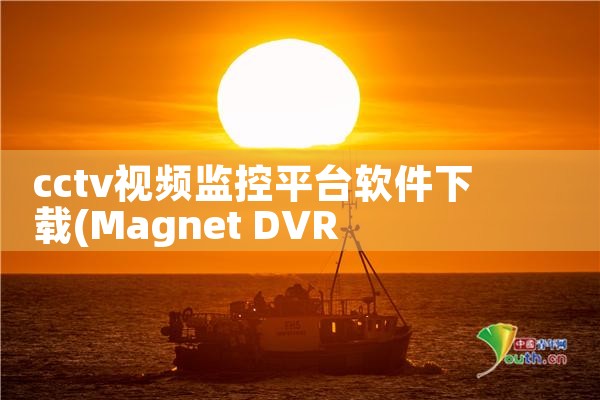 cctv视频监控平台软件下载