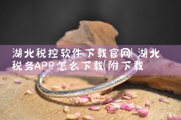 湖北税控软件下载官网