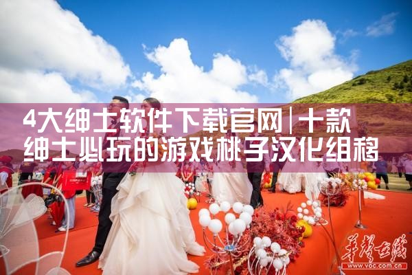 4大绅士软件下载官网
